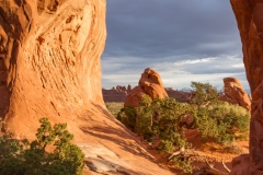 The Devil's Garden Trail The Devil's Garden Trail