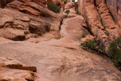 The Devil's Garden Trail The Devil's Garden Trail
