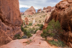 The Devil's Garden Trail The Devil's Garden Trail