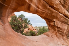 The Devil's Garden Trail The Devil's Garden Trail