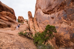 The Devil's Garden Trail The Devil's Garden Trail