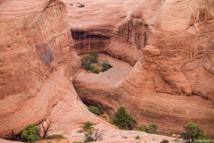 The hike to Delicate Arch The hike to Delicate Arch