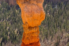 7D-3456 7D-3456