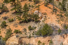 The Tropic Ditch Trail, Utah The Tropic Ditch Trail, Utah