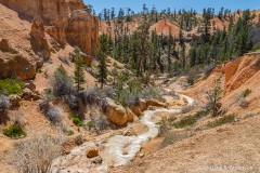 The Tropic Ditch Trail, Utah The Tropic Ditch Trail, Utah