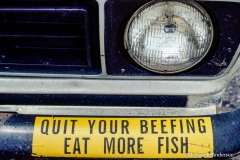 A helpful local bumper sticker. A helpful local bumper sticker.