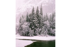 2003 - Snowstorm in Yosemite 2003 - Snowstorm in Yosemite