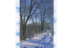 2007 - Whose Woods These are I Think I Know 2007 - Whose Woods These are I Think I Know