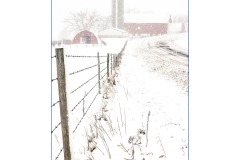 2012 - Winter in Dairyland 2012 - Winter in Dairyland