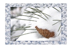 2013 - Snow Cone 2013 - Snow Cone