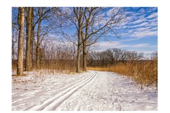 2016 - Skiing in Owen Conservation Park 2016 - Skiing in Owen Conservation Park
