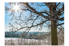 2017 - A Clear, Cold Morning 2017 - A Clear, Cold Morning