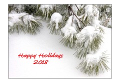 2018 - Happy Holidays 2018 2018 - Happy Holidays 2018
