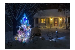 2023 - Christmas on Taychopera Road 2023 - Christmas on Taychopera Road