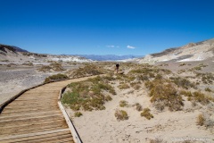 Salt Creek Trail