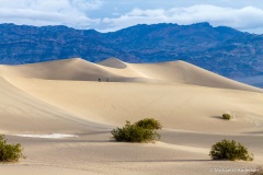 Mesquite Flat Sand Dunes