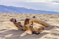 Mesquite Flat Sand Dunes