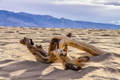 Mesquite Flat Sand Dunes Mesquite Flat Sand Dunes