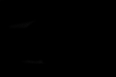 Crop-00