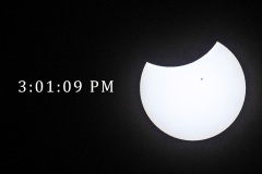 Crop-13