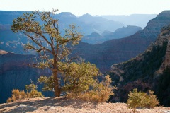 Watching the sunrise at Yavapai Observation Station Watching the sunrise at Yavapai Observation Station