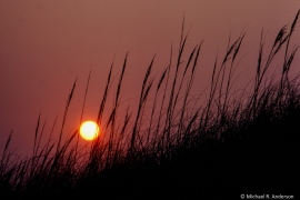 Cape Hatteras National Seashore