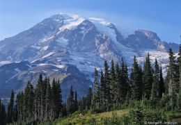 Mt. Rainier National Park