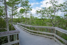 Everglades National Park