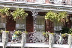 NewOrleans-03 NewOrleans-03