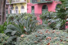 NewOrleans-18 NewOrleans-18