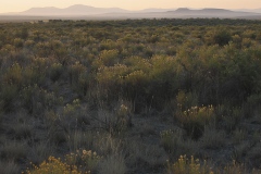 c7-Northwest-14 c7-Northwest-14