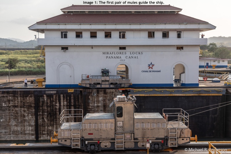 Image 1: The first pair of mules guide the ship.