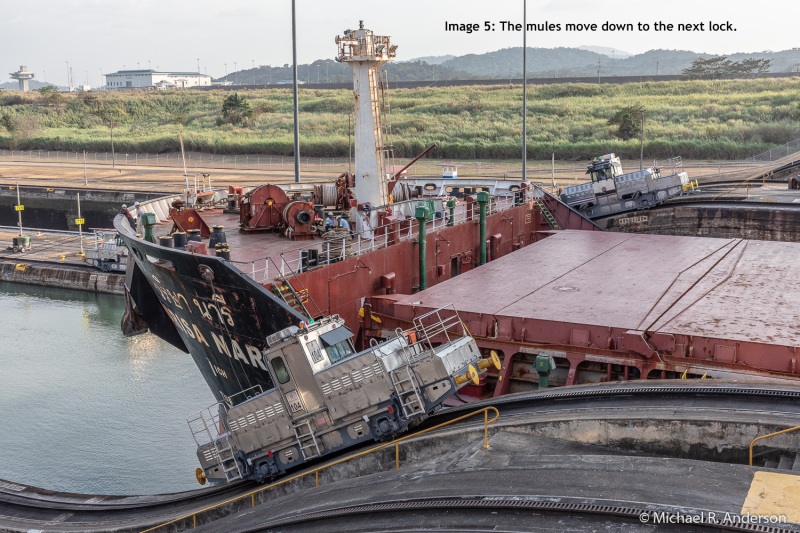 Image 5: The mules move down to the next lock.