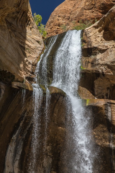 Lower Calf Creek Falls Trail