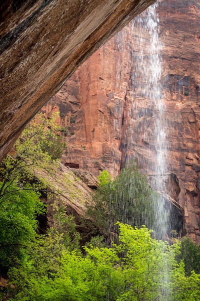 EmeraldPoolsTrail-042512-3004a