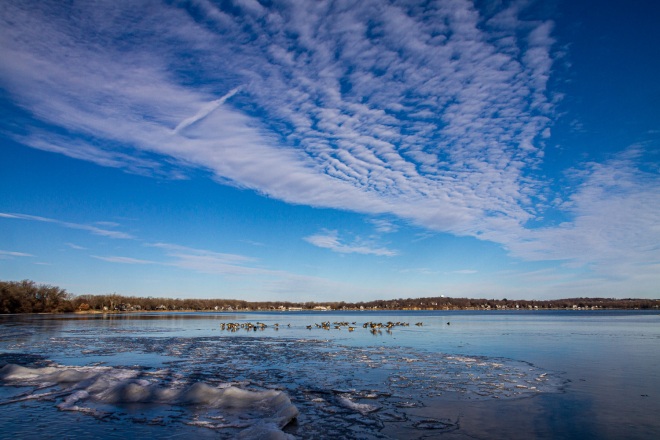 The ice thickens and extends from the shore
