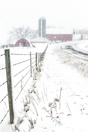 Winter in Dairyland