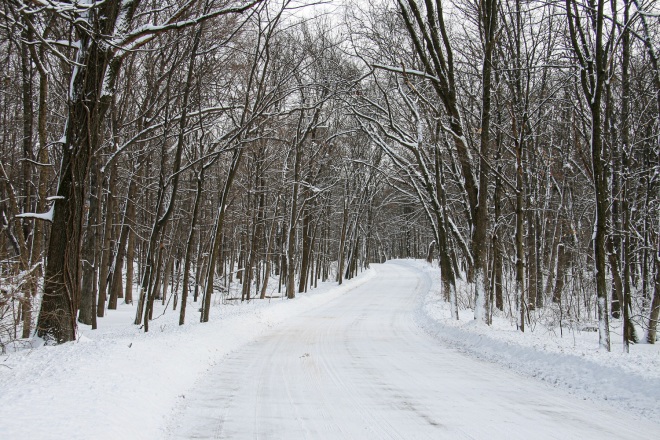 Winter roads can be very beautiful.