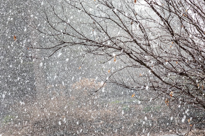 There's always one final blast of wet snow