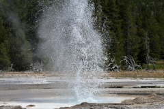 Yellowstone-28