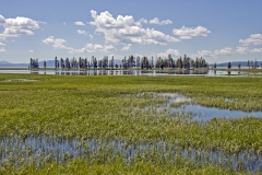 Yellowstone-30