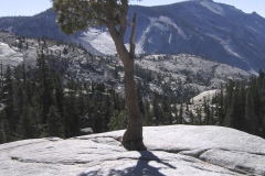 Yosemite-20