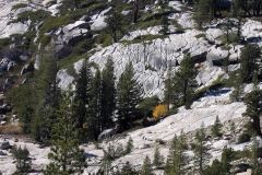 Yosemite-21 Yosemite-21