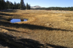 Yosemite-22 Yosemite-22