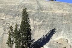 Yosemite-24 Yosemite-24