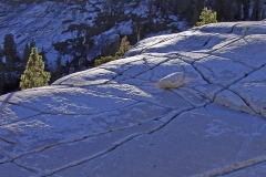 Yosemite-25 Yosemite-25