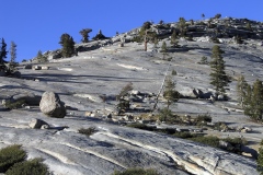 Yosemite-26