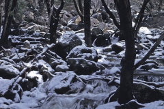 Yosemite-27 Yosemite-27