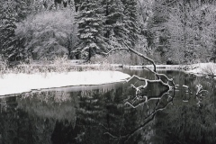Yosemite-33 Yosemite-33