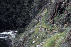 Yosemite-45 Yosemite-45